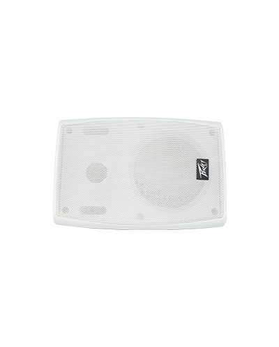 WSP-4.2T壁挂音箱 