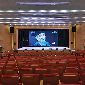 苏大存菊堂